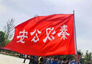 疯狂之冠
